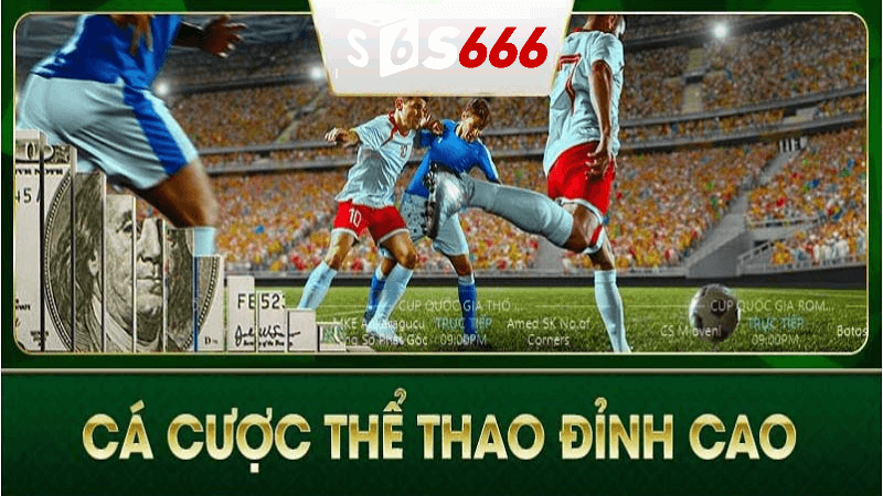 Tại Sao Nên Chọn Cá Cược Thể Thao S666?