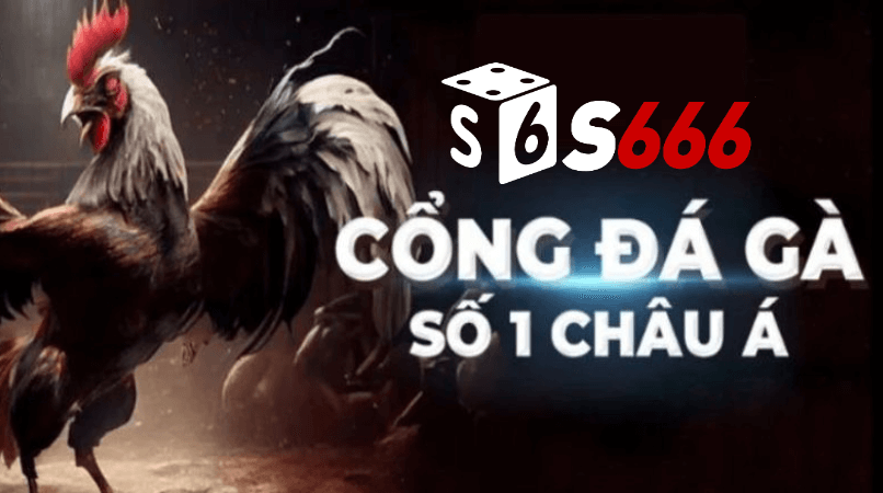 s6666 cổng đá gà số 1 châu á